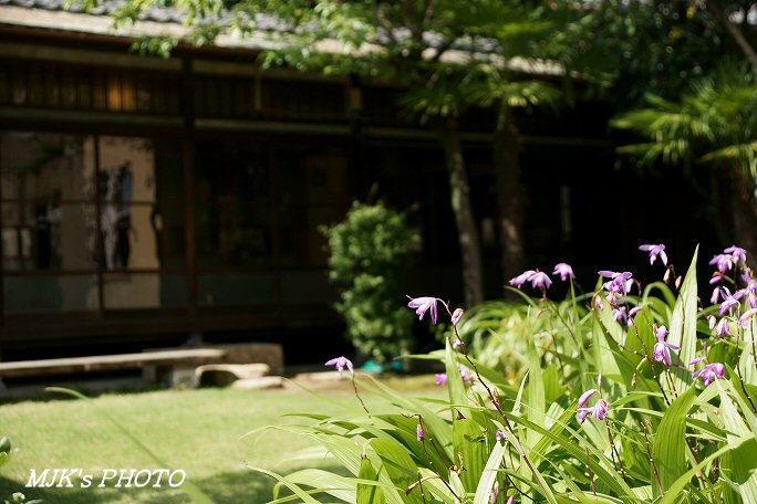 bunkamichi00521.jpg