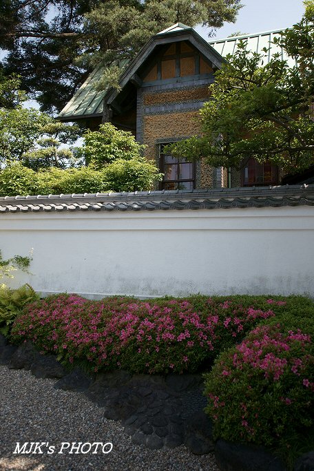 bunkamichi00523.jpg