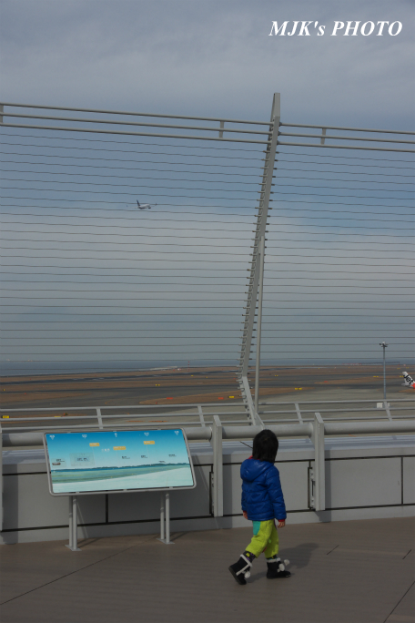 centrair3833.jpg