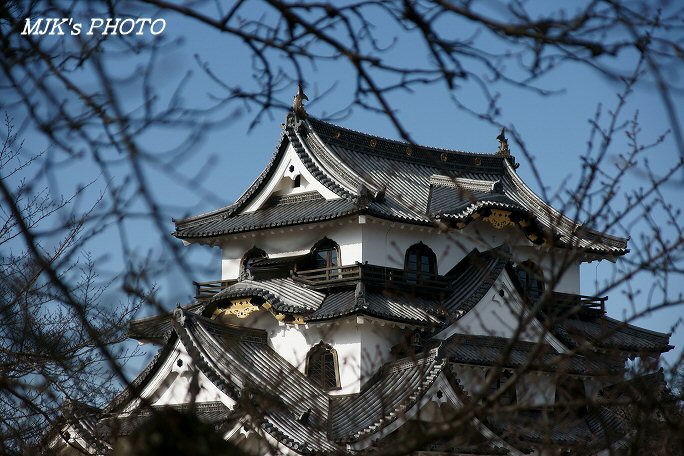 hikone00204.jpg