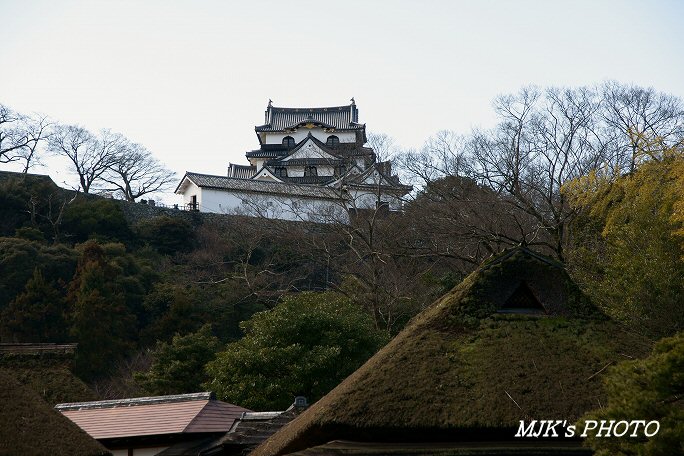 hikone00206.jpg