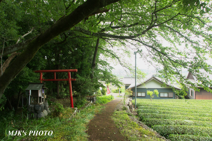 ikeda4175.jpg