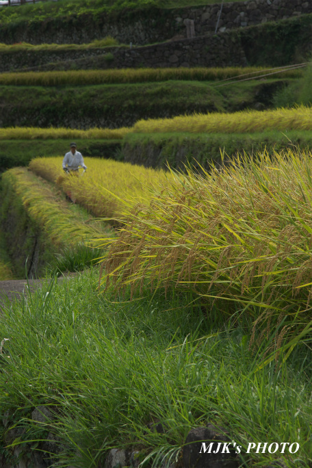 sakaori00836.jpg