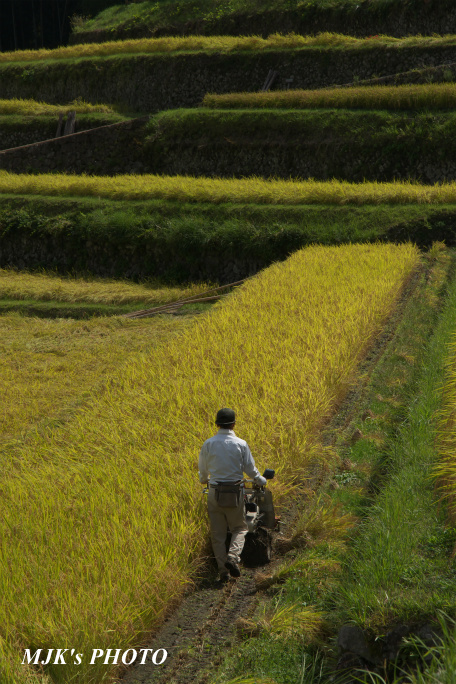 sakaori00837.jpg