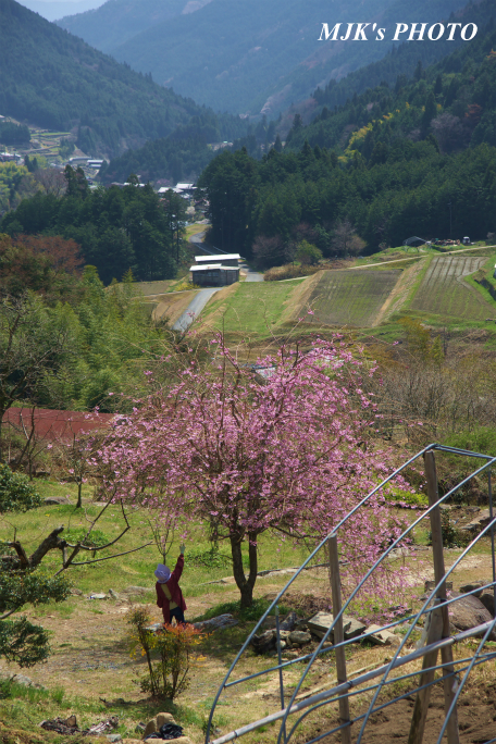 sakaori1359.jpg