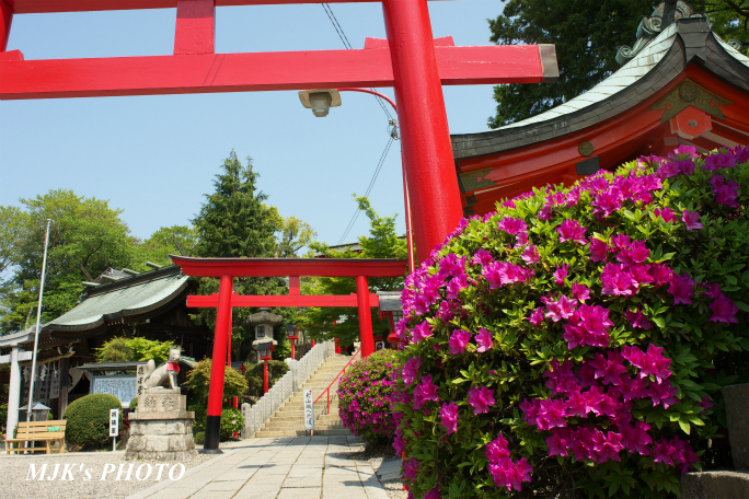 sankoinari4075.jpg