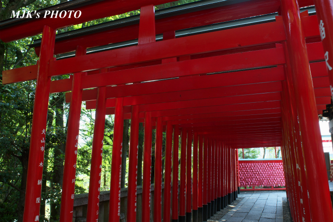 sankoinari4077.jpg