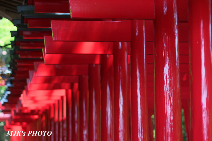 sankoinari4079.jpg