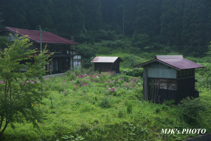 shoukawa3325.jpg