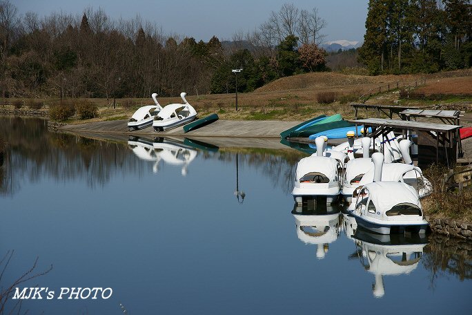 showamura00384.jpg