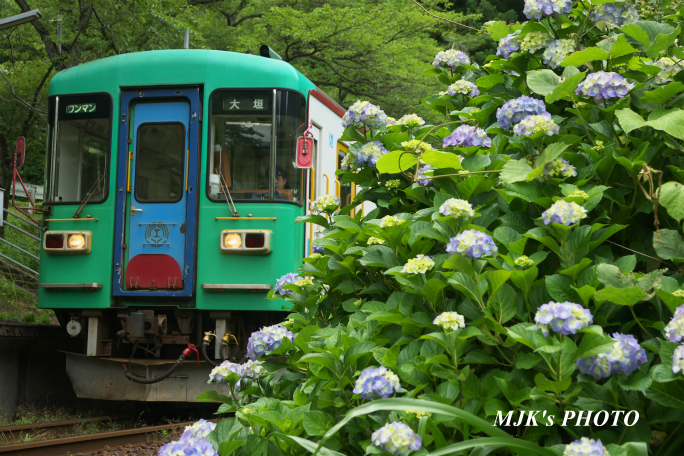 tarumi4254.jpg