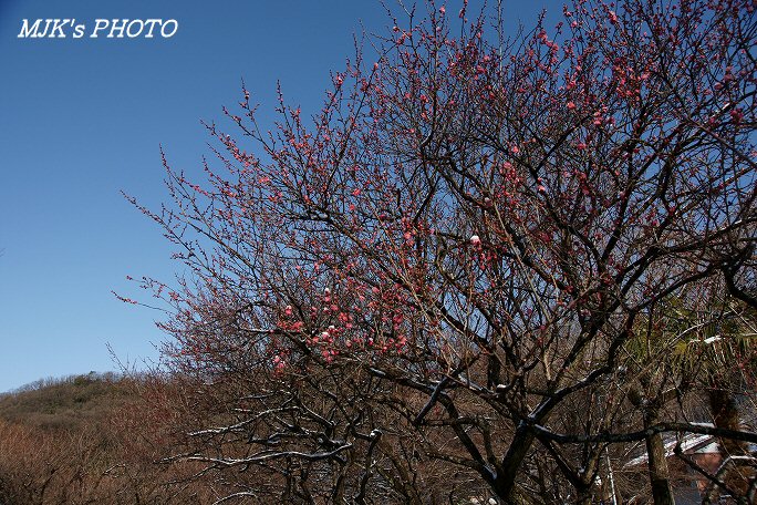 bairin00224.jpg