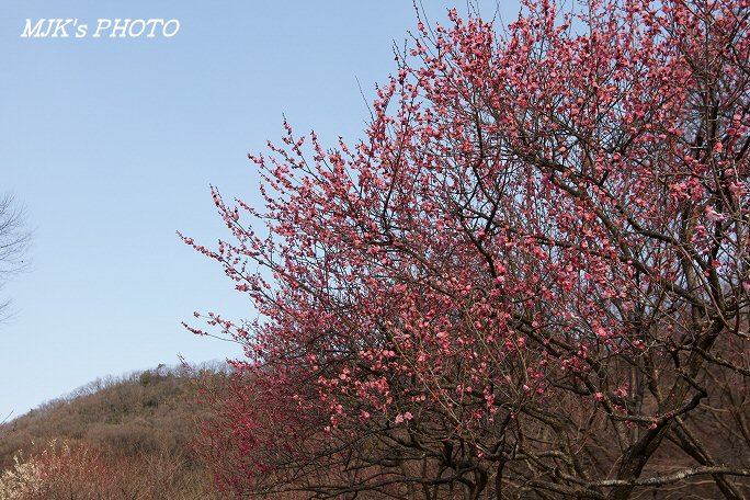 bairin00268.jpg