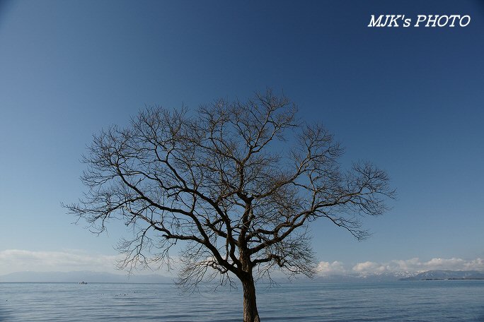 biwako00199.jpg