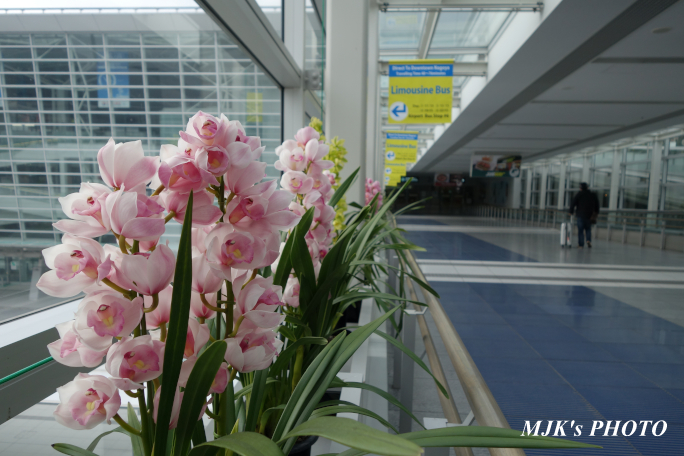 centrair3818.jpg