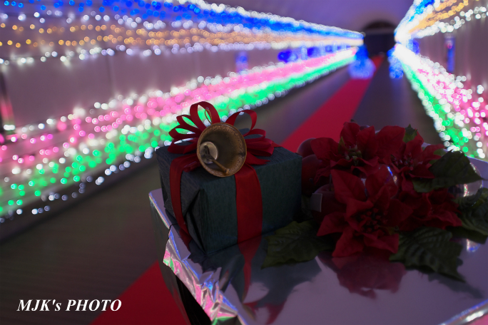 christmas2821.jpg