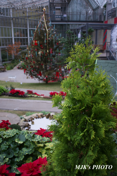 christmas2823.jpg