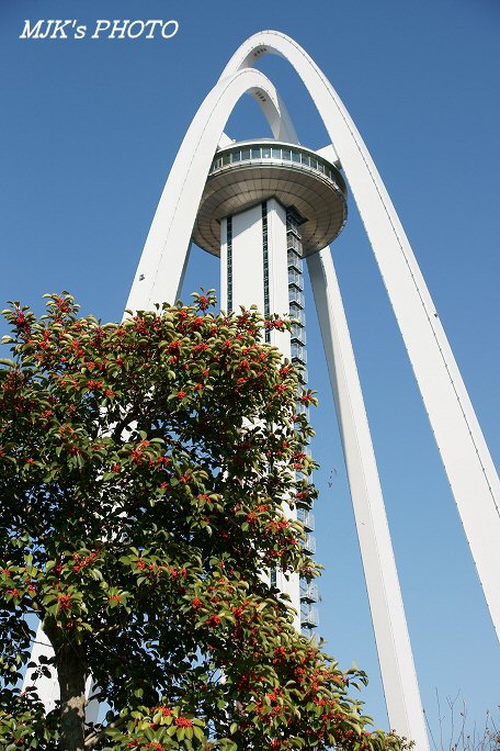 cpl00013.jpg