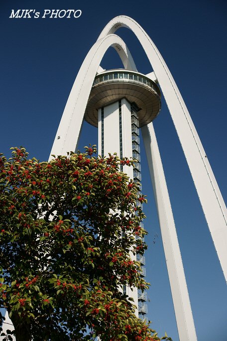 cpl00014.jpg
