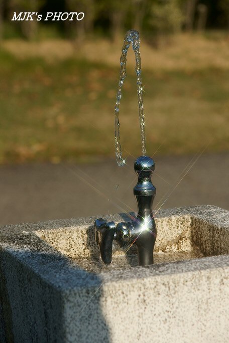 cross00451.jpg