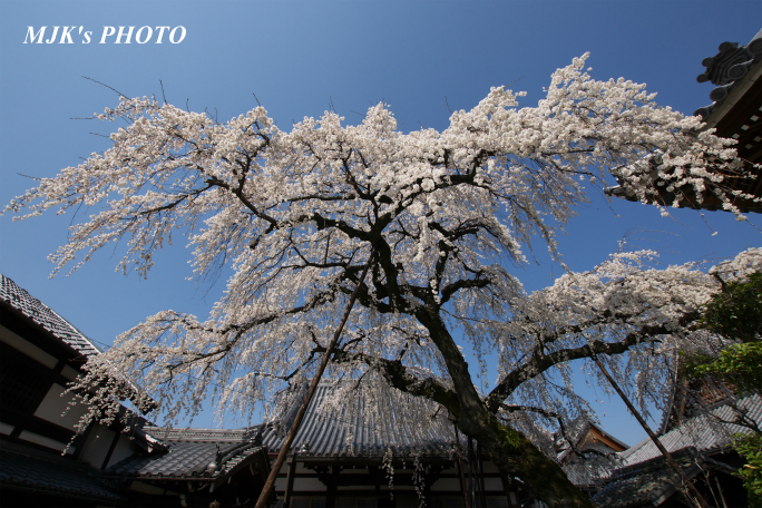 enmyouji4001.jpg