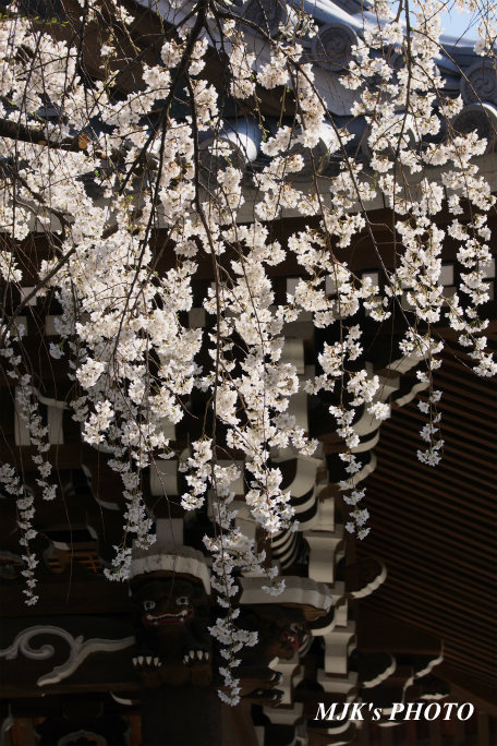 enmyouji4008.jpg