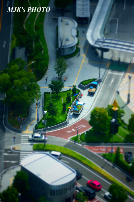 gifu2483.jpg