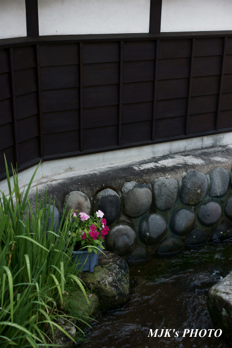 hachiman00716.jpg