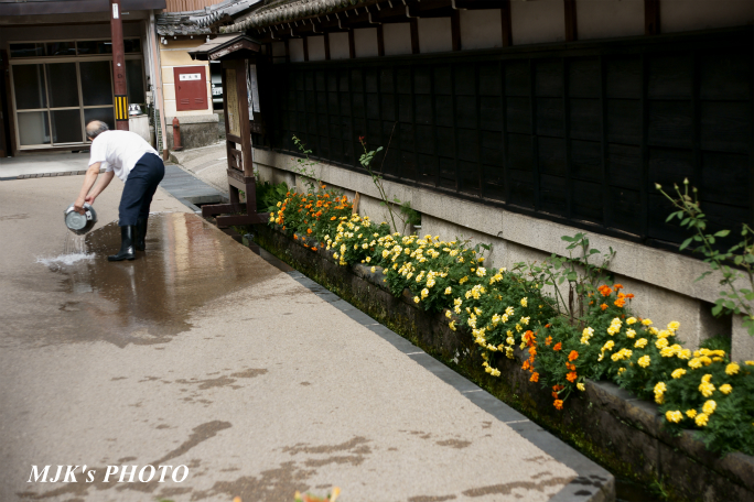 hachiman00723.jpg