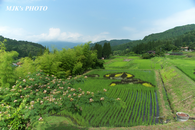 hatagatani2464.jpg