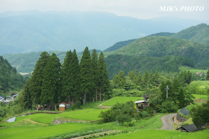 hatagatani2467.jpg