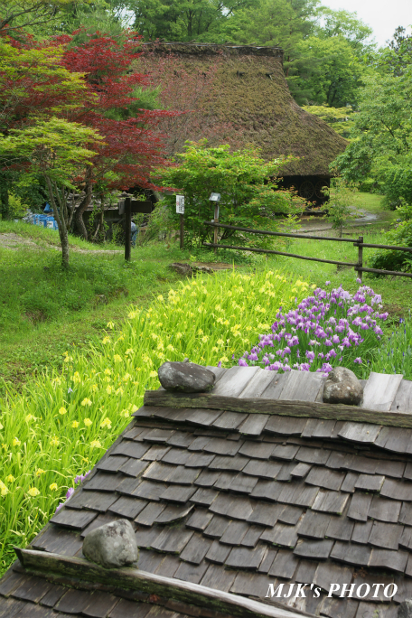 hidanosato4277.jpg