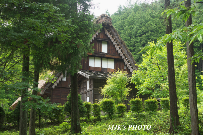 hidanosato4291.jpg