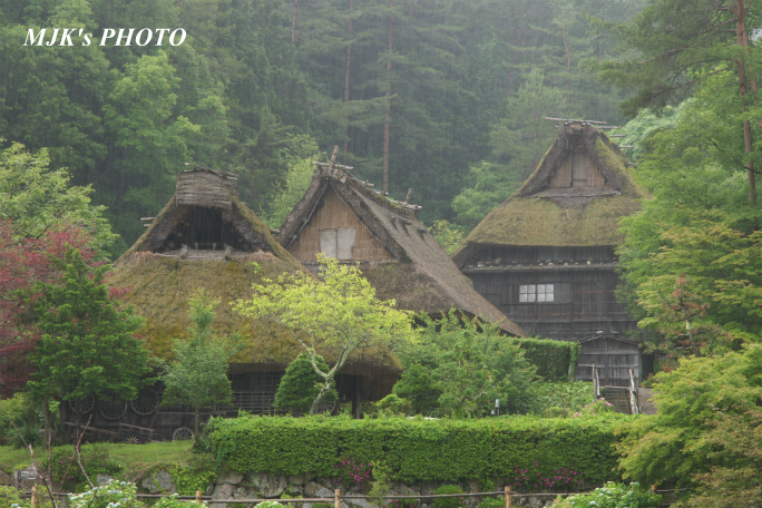 hidanosato4296.jpg