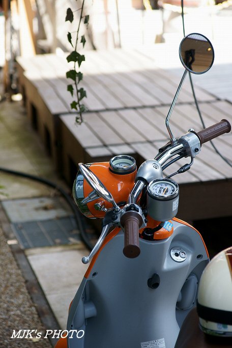 hikone00213.jpg