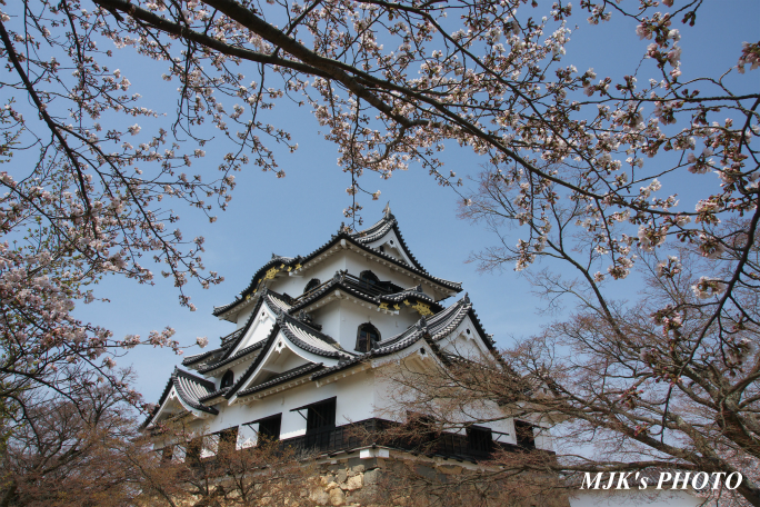 hikone3038.jpg