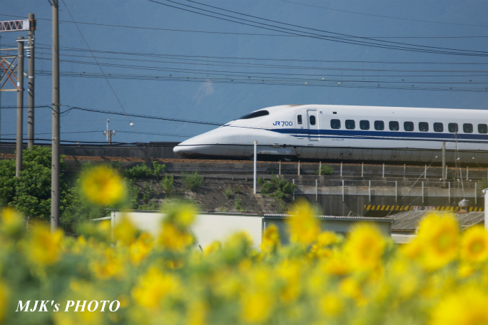 himawari2502.jpg