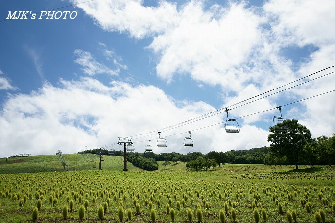 hirugano00654.jpg