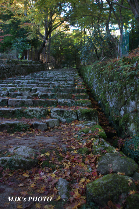 hyakusaiji2757.jpg