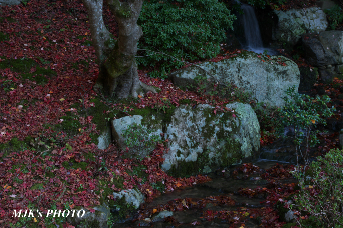hyakusaiji2758.jpg