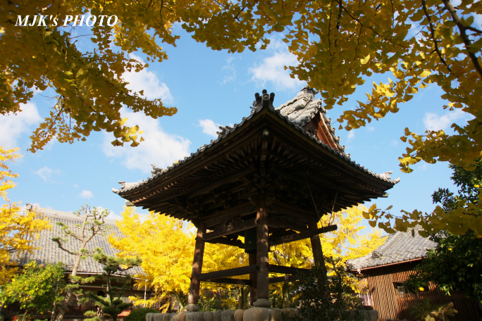 ichijyoji2737.jpg