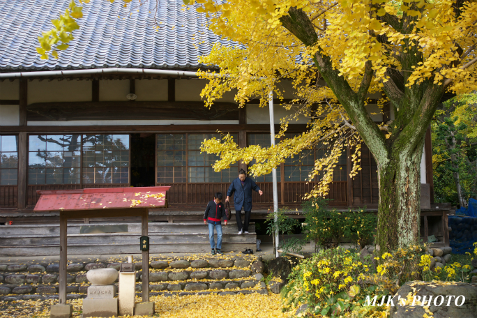 ichijyoji2743.jpg