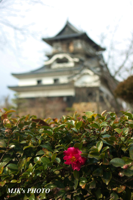 inuyama1169.jpg