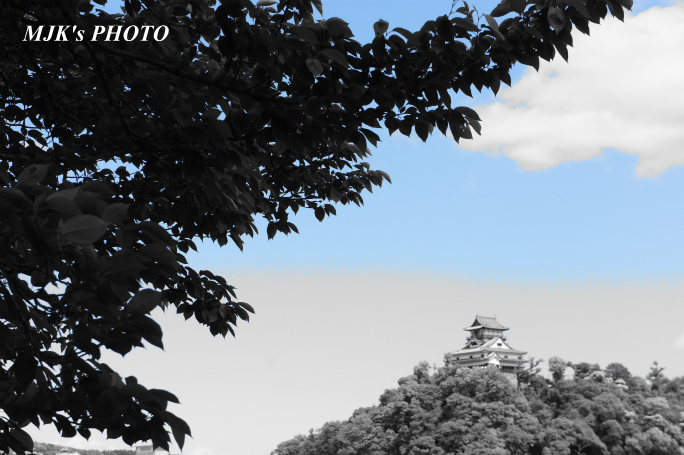 inuyama2244.jpg