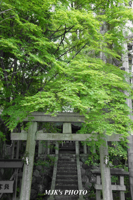 inuyama2245.jpg