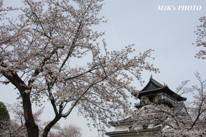 inuyama3012.jpg
