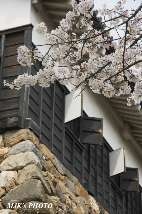 inuyama3013.jpg