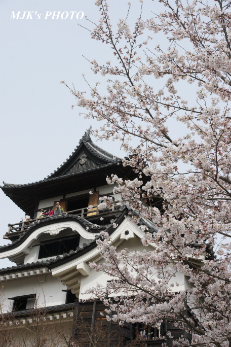 inuyama3014.jpg