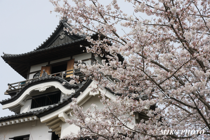inuyama3015.jpg