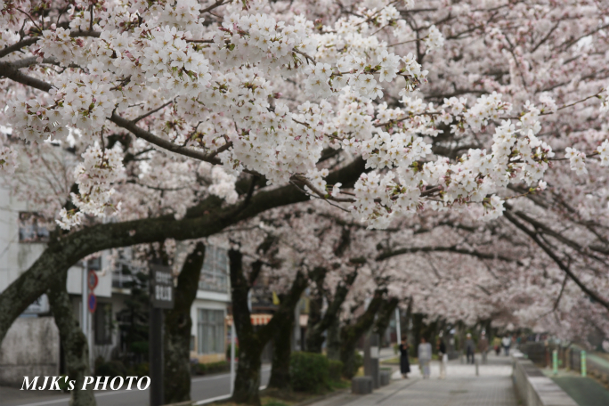 inuyama3018.jpg